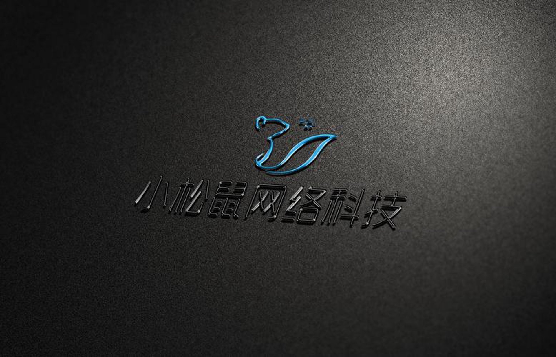 松鼠网络科技